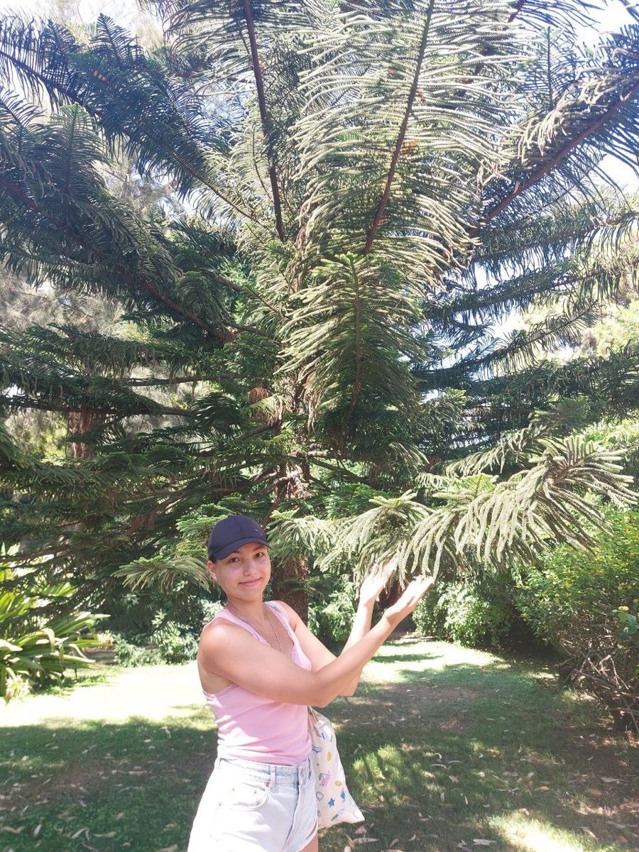 Sofiia standing under a large araucaria tree in Italy